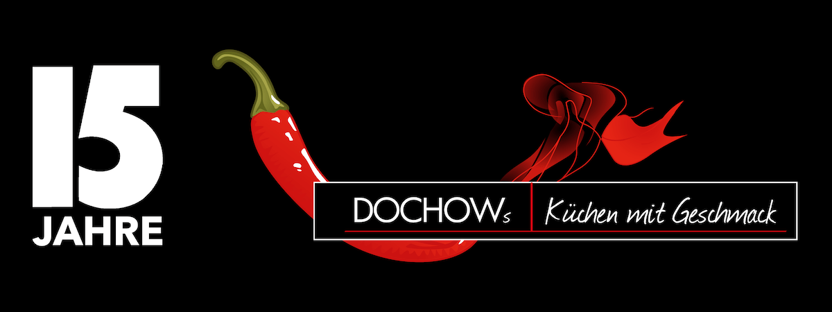 15 Jahre DOCHOWs Logo